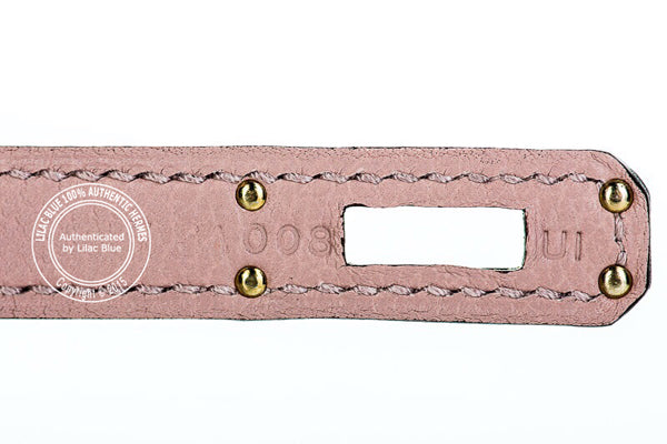 Hermès Birkin 25cm Glycine Evercolor PHW