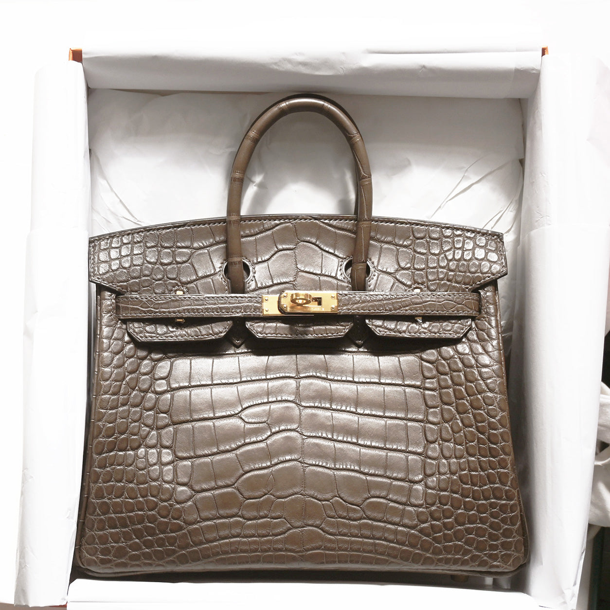 Hermès Birkin 25cm Gris Elephant Matte Alligator GHW