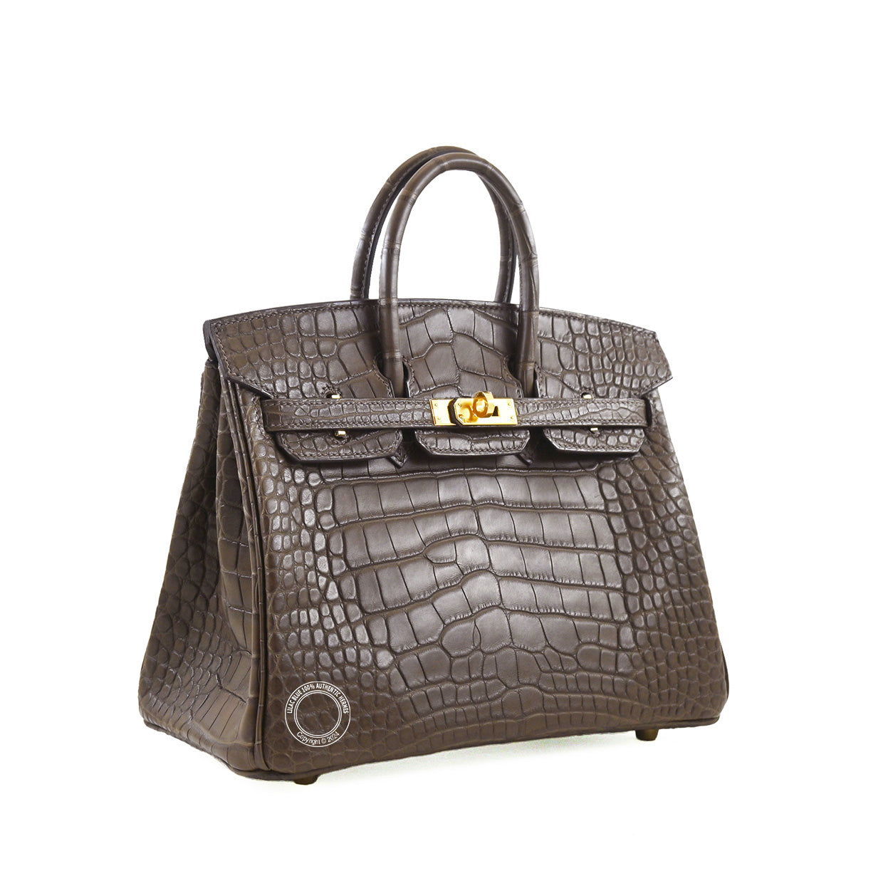 Hermès Birkin 25cm Gris Elephant Matte Alligator GHW