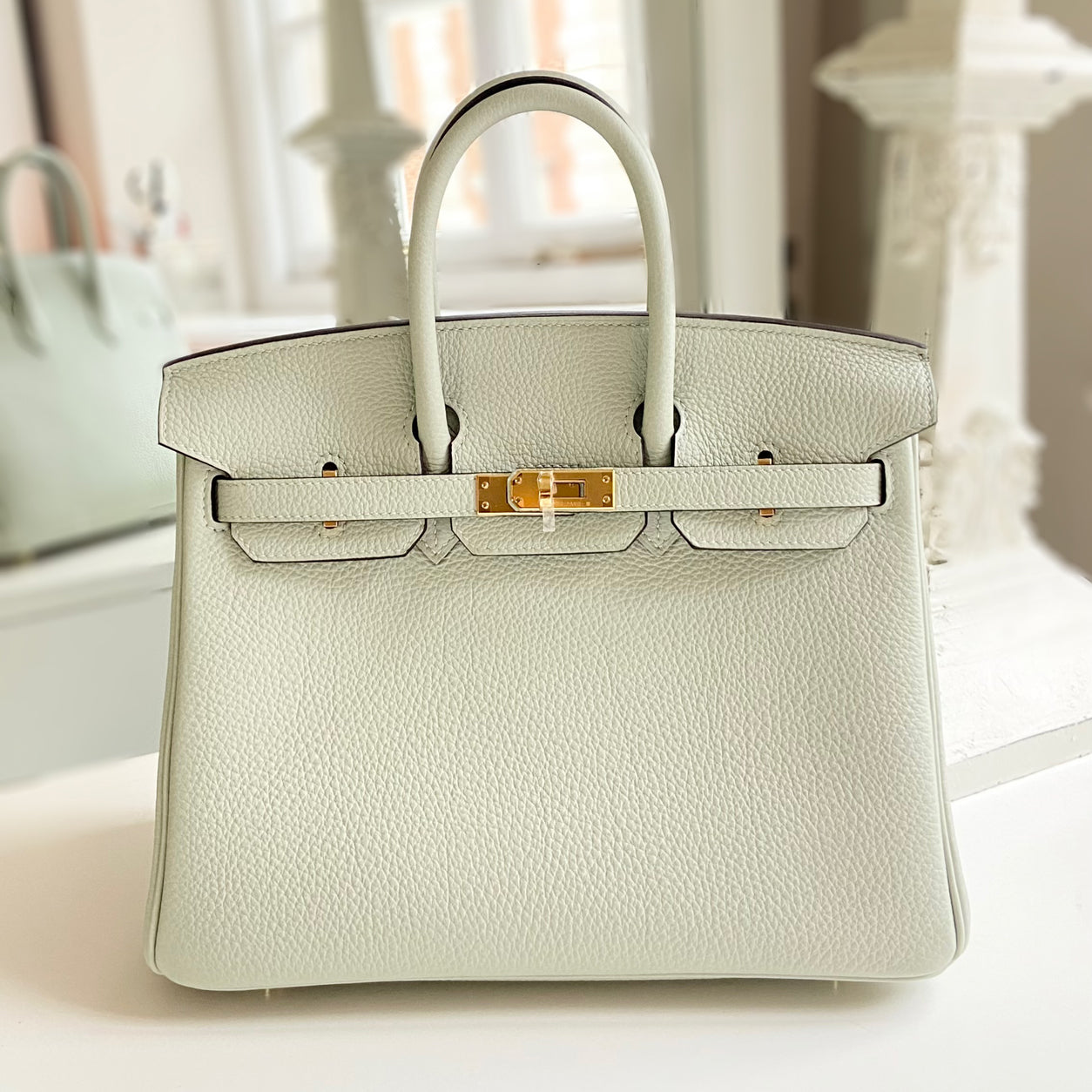Hermès Birkin 25cm Gris Neve Togo GHW