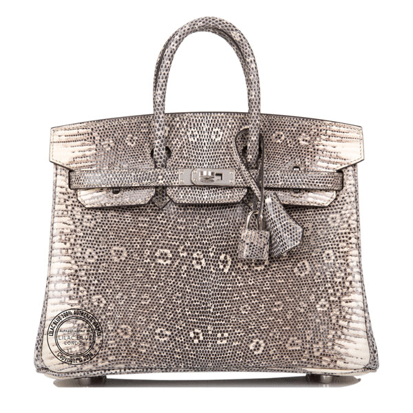 Hermès Birkin 25cm Ombre Lizard PHW