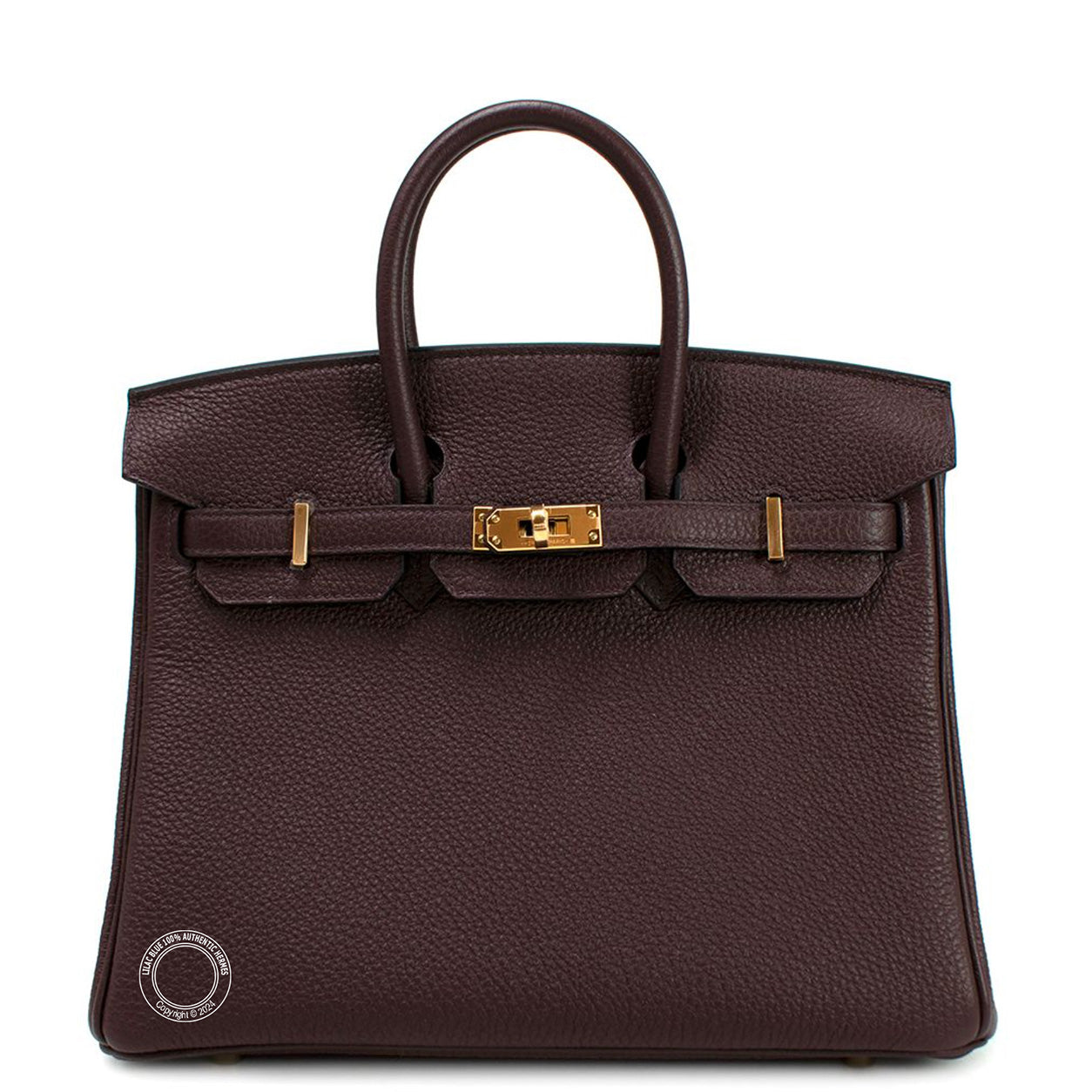 Hermès Birkin 25cm Rouge Sellier Togo GHW