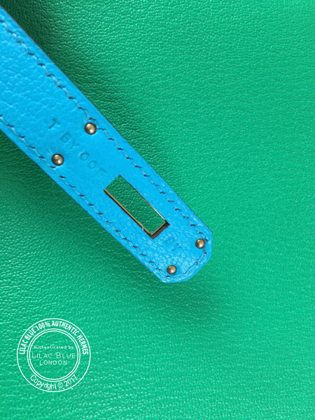Hermès Birkin 30cm Menthe/Bleu Azteque Chevre GHW