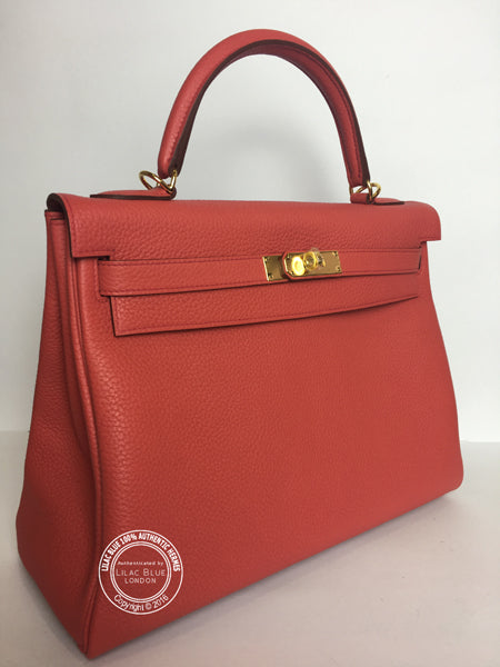 32cm Bougainvillea Kelly. TC, Gold