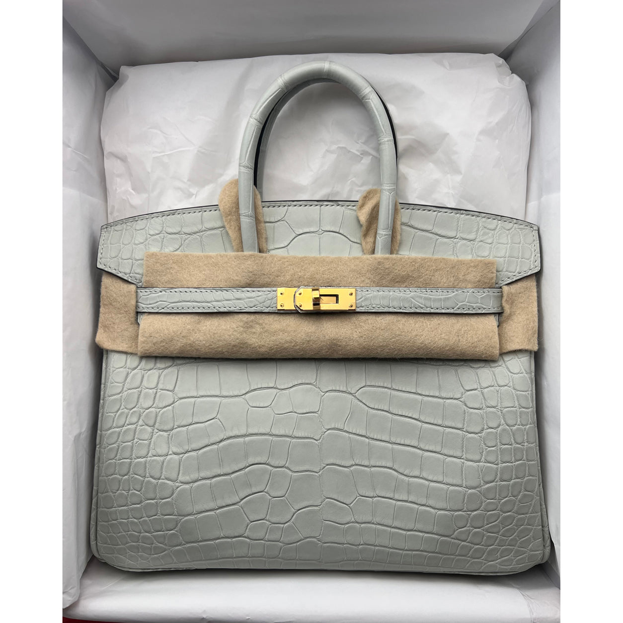 Hermès Birkin 25cm Gris Neve Matte Alligator GHW