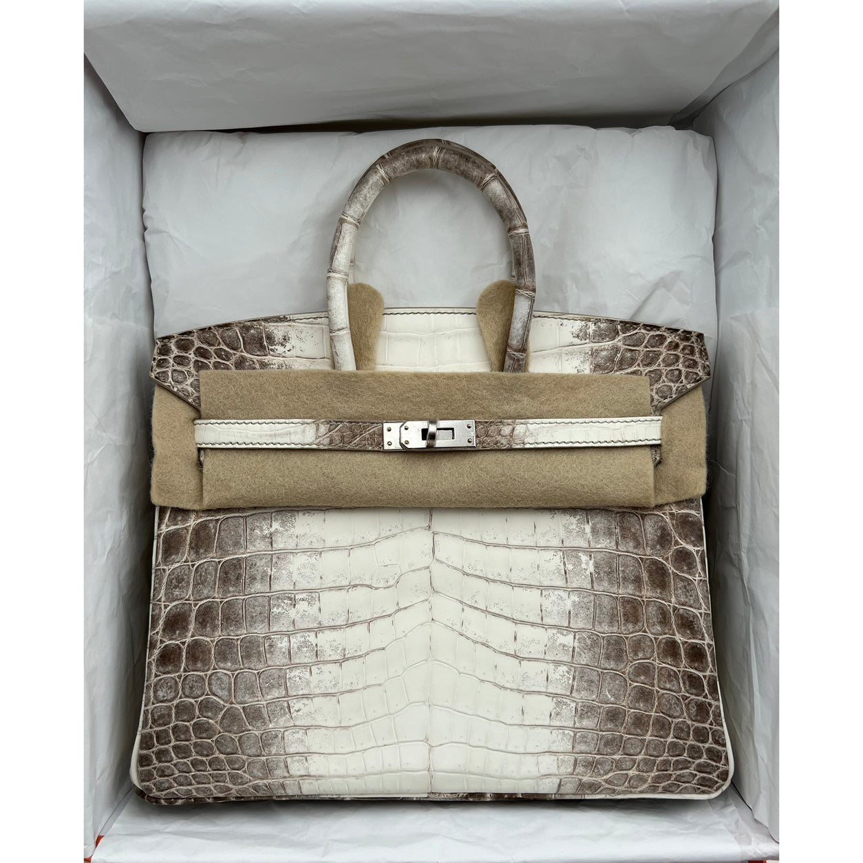 Hermès Birkin 25cm Himalaya Matte Croc PHW
