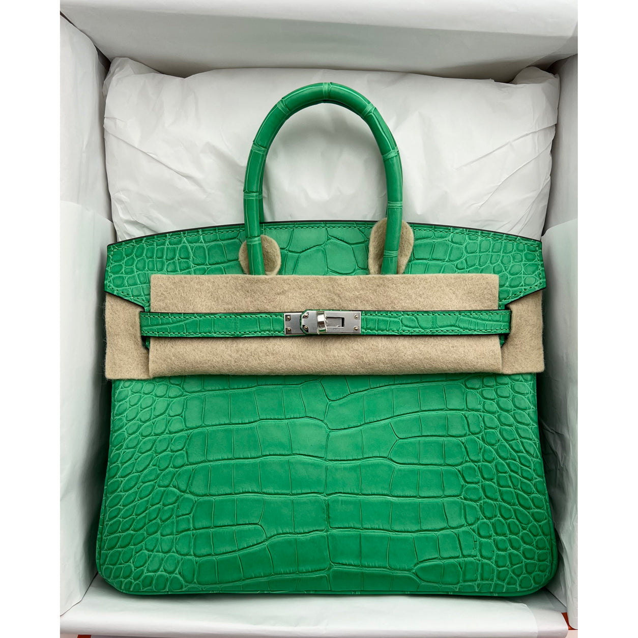 Hermès Birkin 25cm Vert Comics Matte Alligator PHW