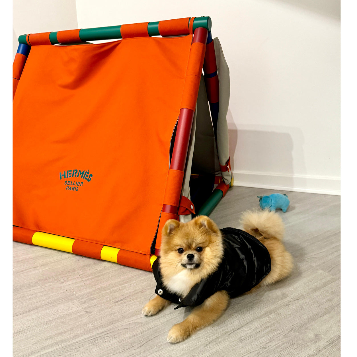 Hermès Cavaletti Doghouse