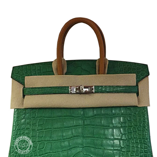 25cm Cactus & Sable Birkin. Matte Alligator, Palladium