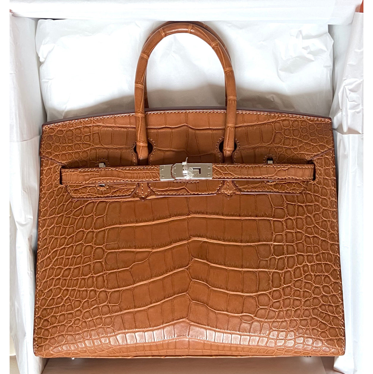 Hermès Birkin 25cm Gold Sellier Matte Alligator PHW
