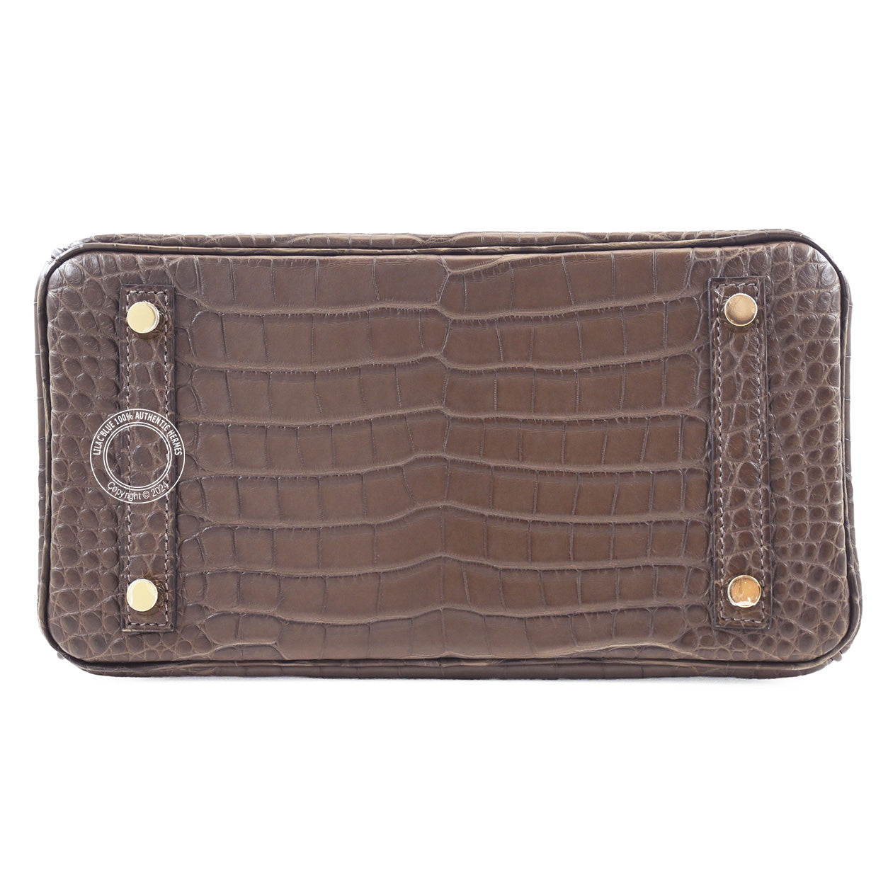 Hermès Birkin 25cm Gris Elephant Matte Alligator GHW