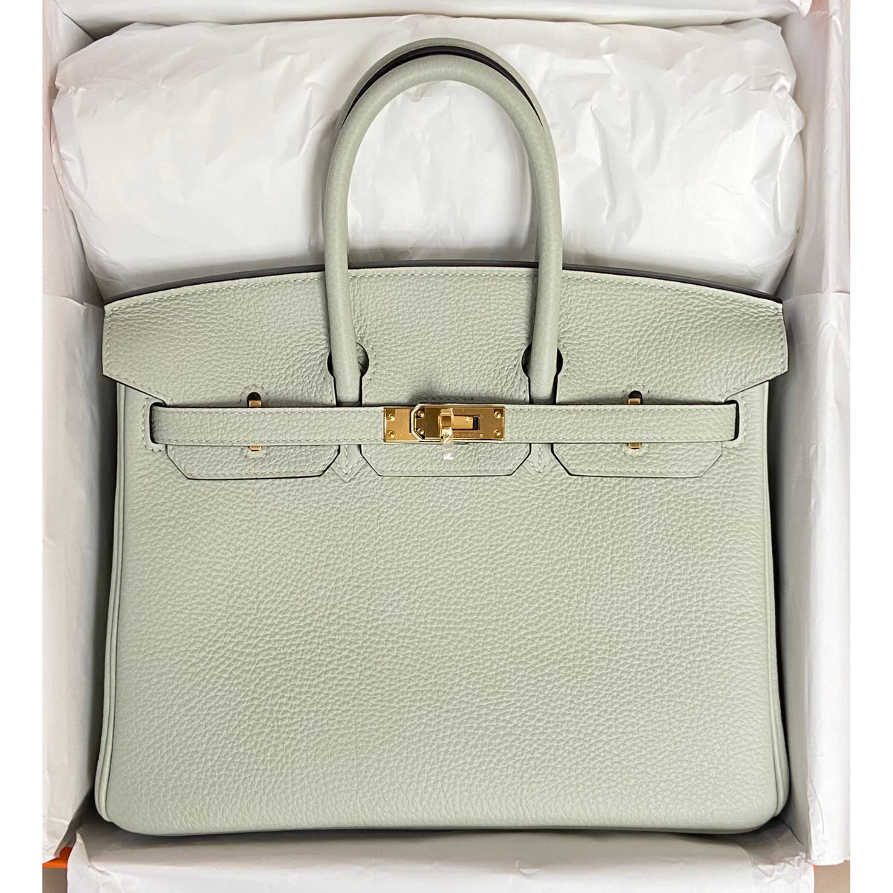 Hermès Birkin 25cm Gris Neve Togo GHW