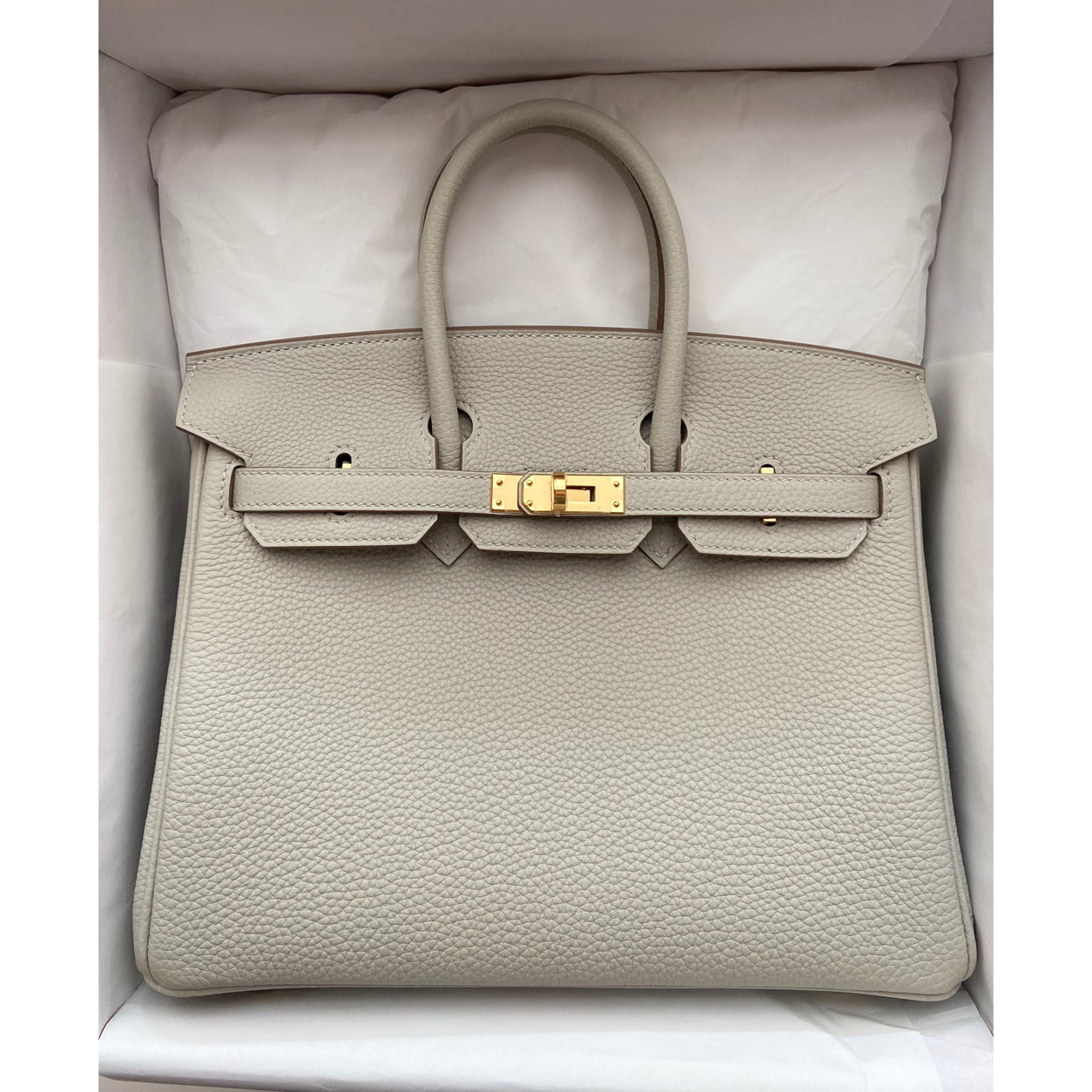 Hermès Birkin 25cm Gris Perle Togo GHW