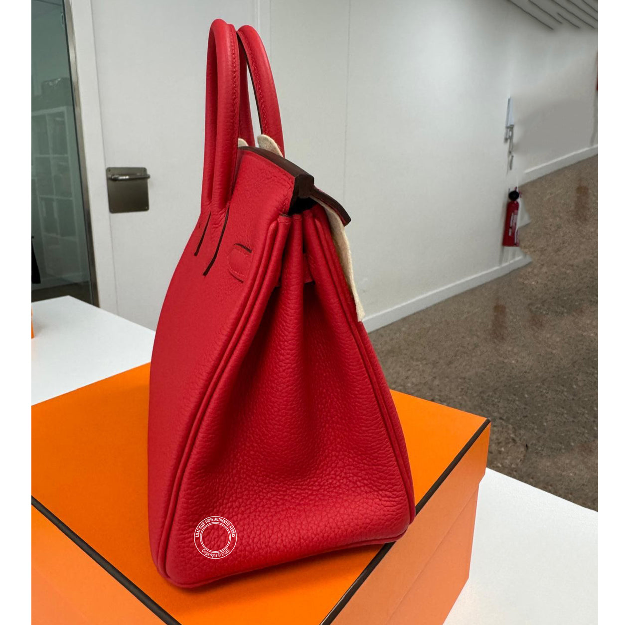Hermes Birkin 25cm Rouge Radieux Togo PHW