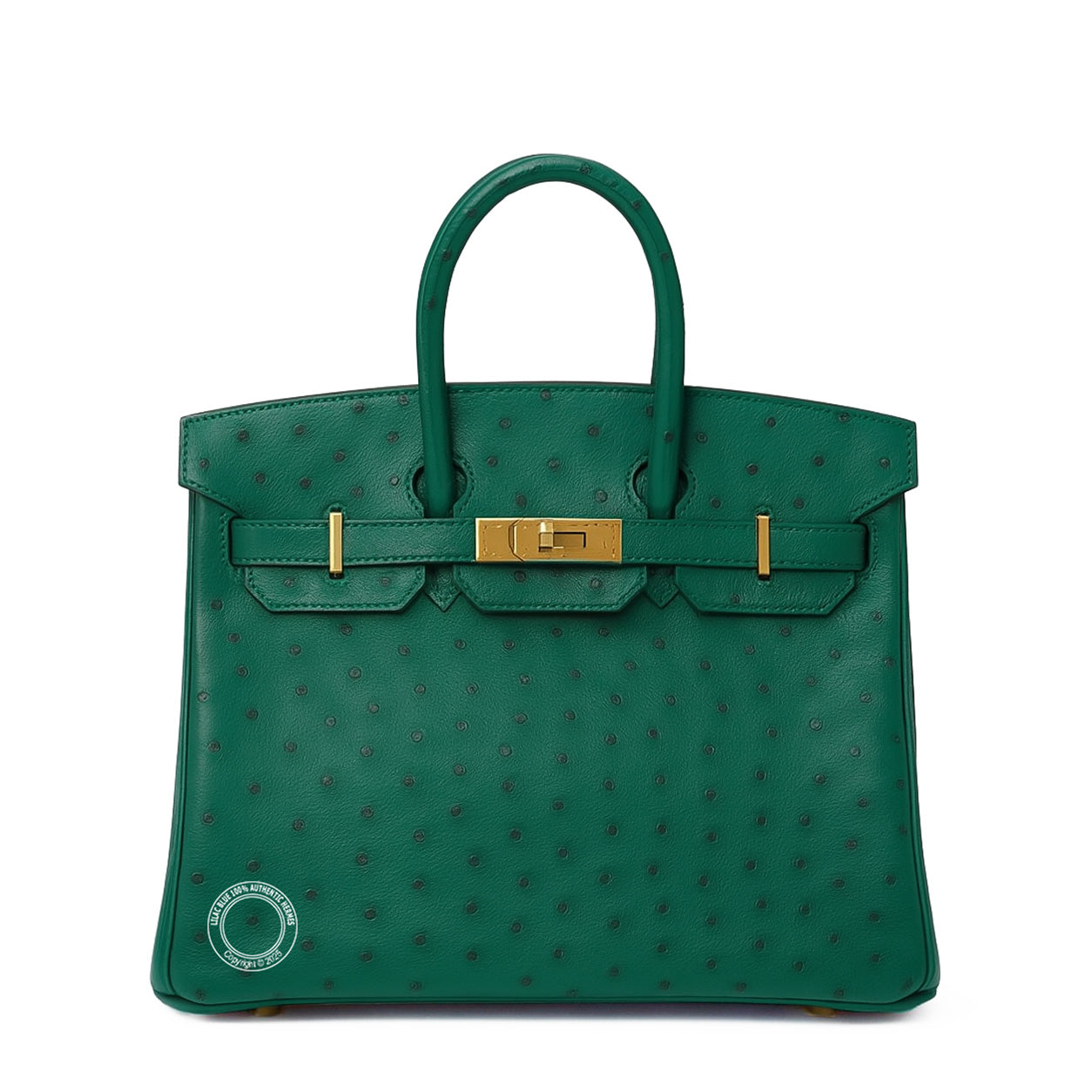 Hermes Birkin 25cm Vert Vertigo Ostrich GHW