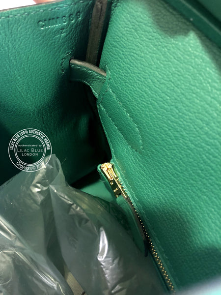 Hermès Birkin 30cm Vert Vertigo Evercolor GHW