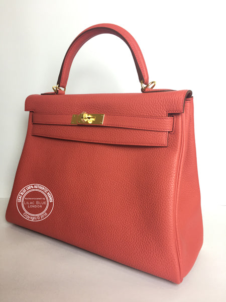 32cm Bougainvillea Kelly. TC, Gold