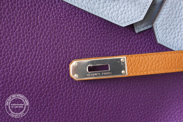 Hermès Birkin 35cm Arlequin Togo PHW