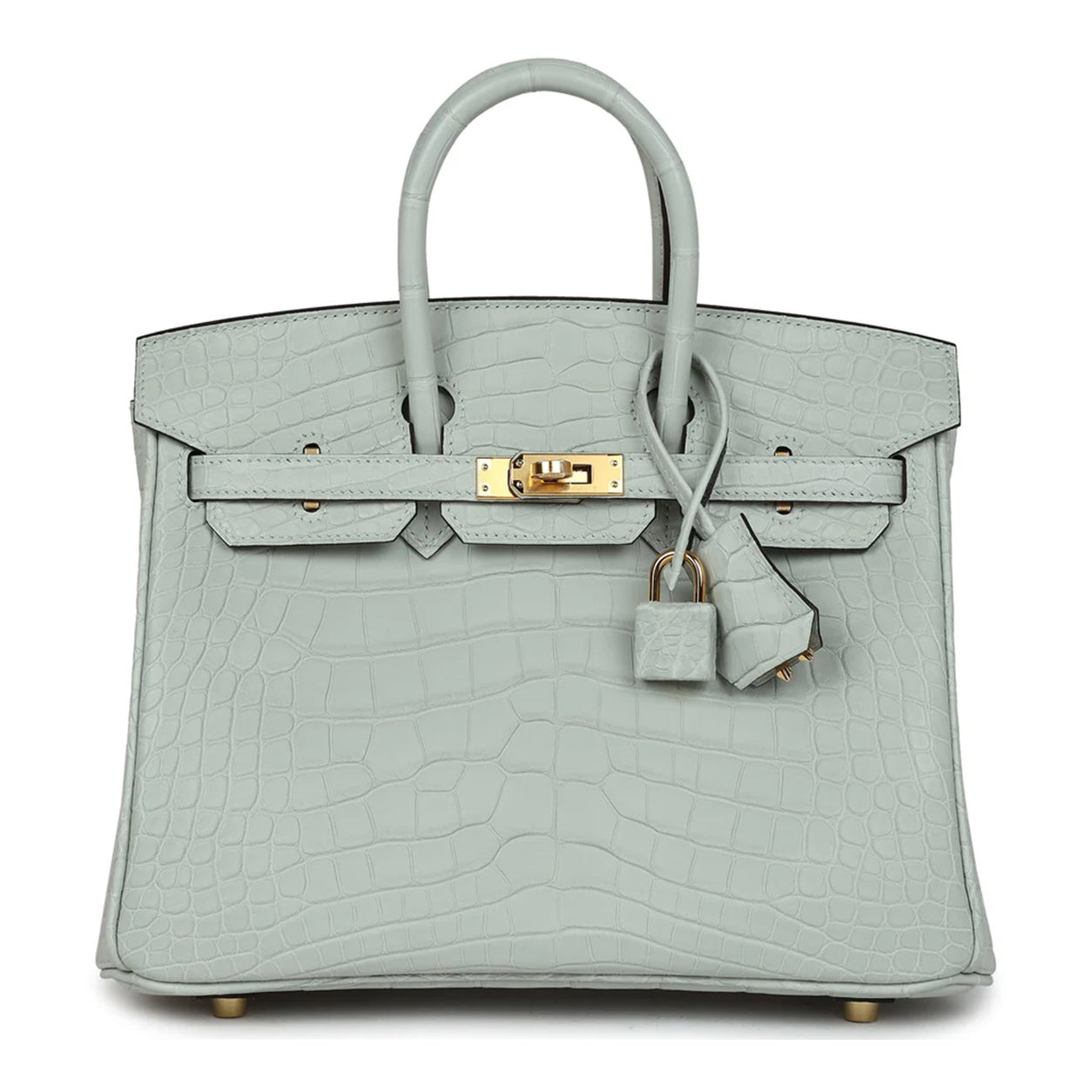 Hermès Birkin 25cm Gris Neve Matte Alligator GHW