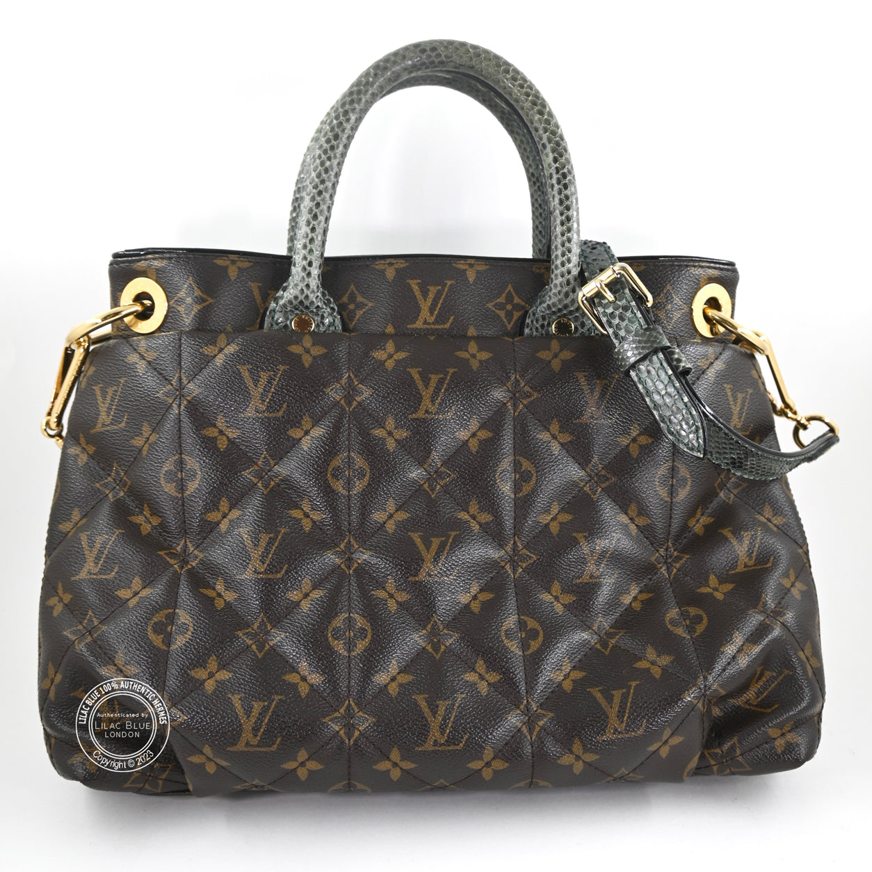 Louis Vuitton Ltd Edition Etoile Exotique Monogram Canvas GHW - Preloved