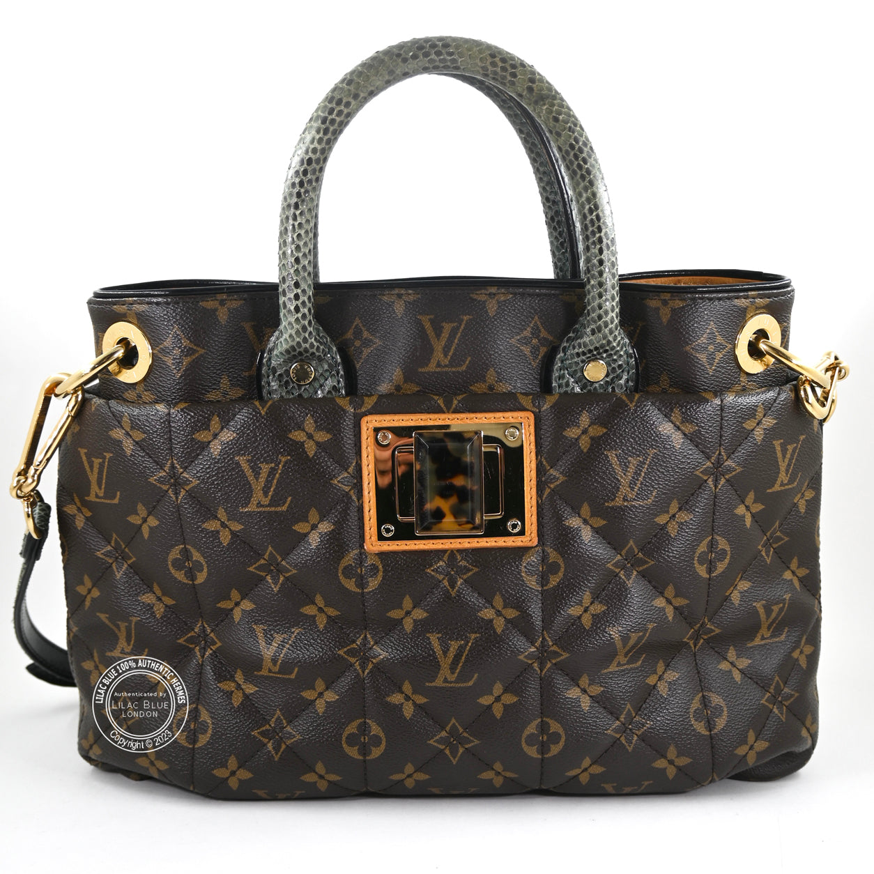 Louis Vuitton Ltd Edition Etoile Exotique Monogram Canvas GHW - Preloved